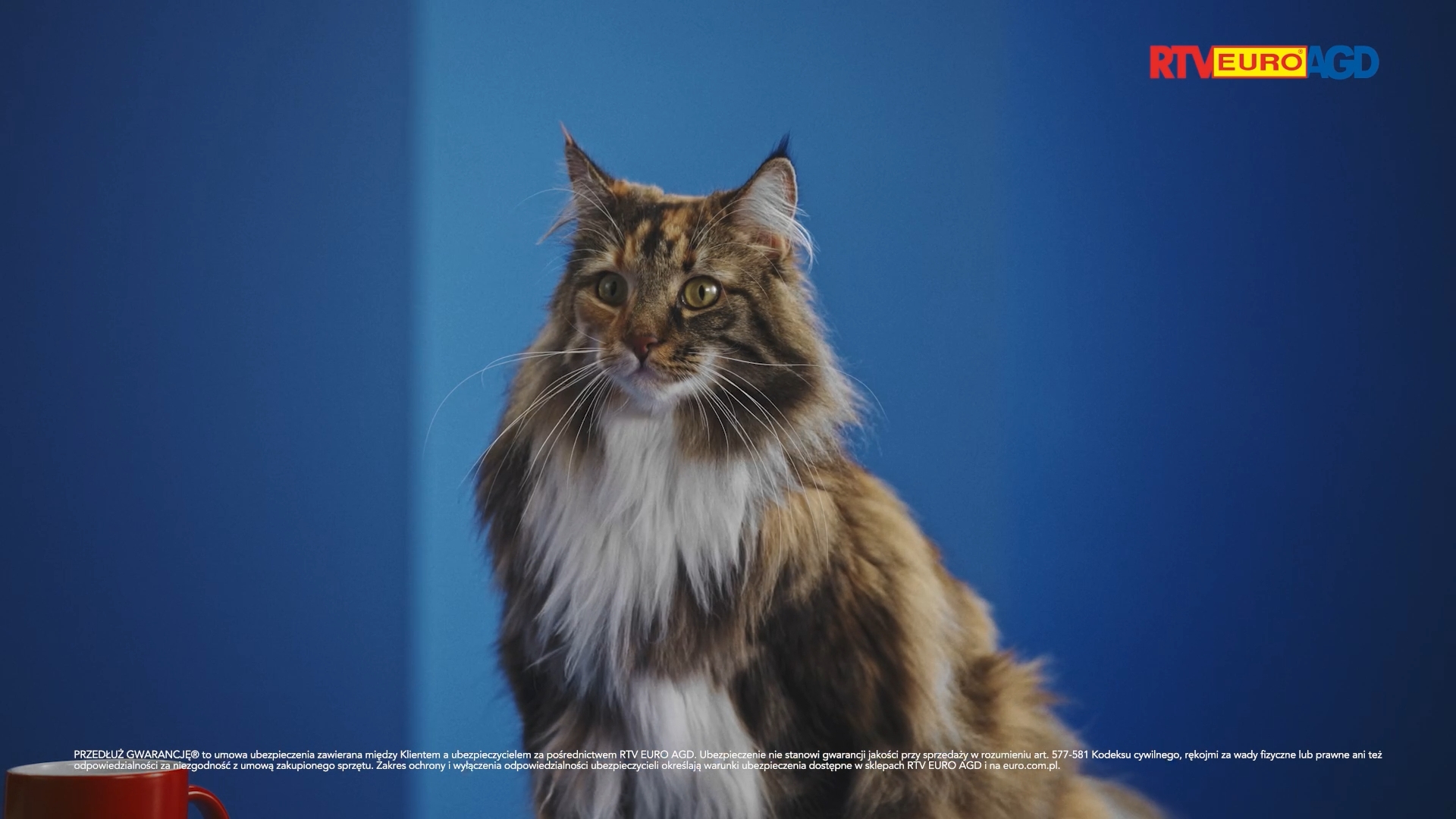 Pieklo jest wszedzie